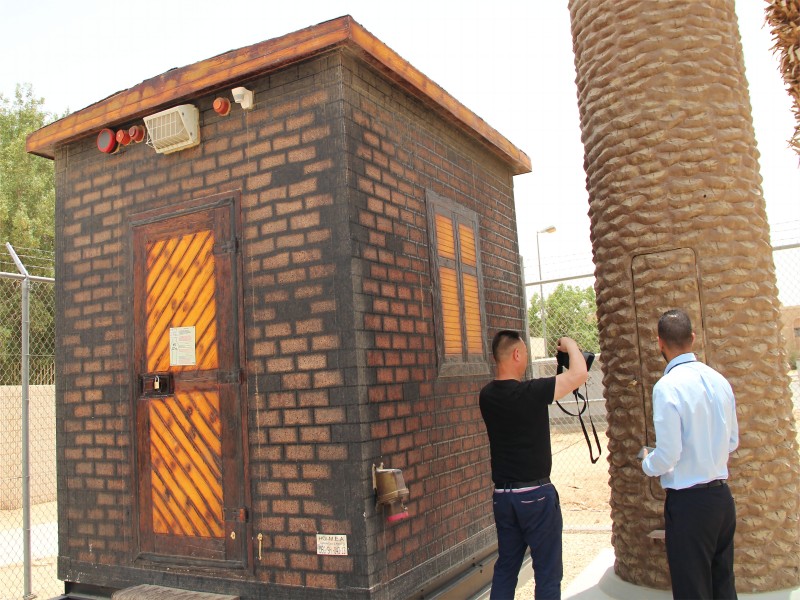 Camouflaged Palm Tree Tower Exporting to Saudi Arabia